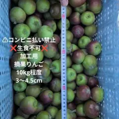 ❌️生食不可❌️　加工用　摘果りんご10kg程度　3〜4.5cmのサムネイル
