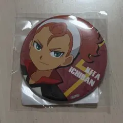 イナズマイレブンGO イナイレ 15周年記念 オンラインくじ 75mm缶バッジ