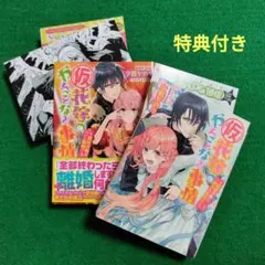 (仮)花嫁のやんごとなき事情 最終決戦はついに離婚!? 夕鷺かのう 小説 2冊