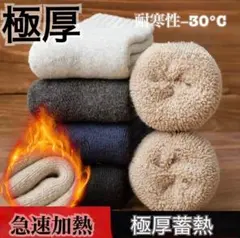厚手 防寒ソックス 厚手裏パイル 極暖 恒温 男女兼用5足 レディース メンズ