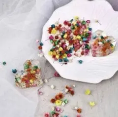 ハンドメイド素材 ドライフラワー 100pc レジン 素材 花 かわいい ac5