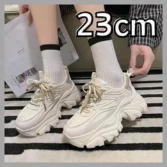 Item thumbnail for item 14039932-edca-4d89-b4d9-4cf6b157e3c8