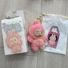 新品未使用　POP MART ラブブ　Big into Energy シリーズ