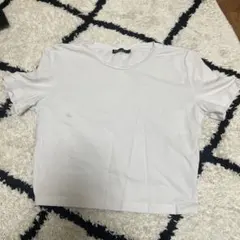 ZARAグロップド丈Tシャツ