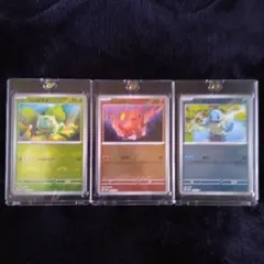 ポケモンカード　プロモ　御三家　フシギダネ・リザード・ゼニガメ 3枚セット