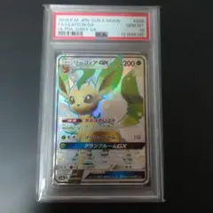2026年最新】リーフィアgx psa10の人気アイテム - メルカリ