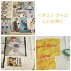 舞台弱虫ペダル グッズ まとめ売り