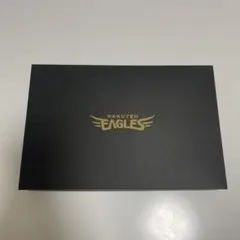 Item thumbnail for item 392dc7e4-332f-4eba-8f4b-6d73b8e63574