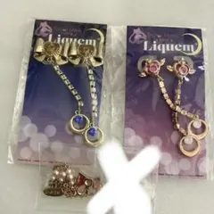 洸*願様 Liquem アクセサリーセット セーラームーン 美少女戦士セーラームーンのキャラクターたちがLiquemの