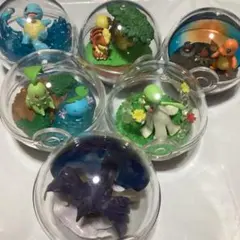 ポケモン テラリウム　コレクション
