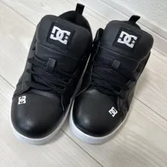 Item thumbnail for item 1558a3db-c5aa-4511-a620-e481a514026d