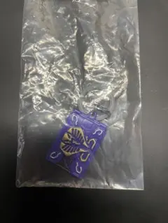 仮面ライダーシリーズ　めじるしアクセサリー　めじるしチャーム