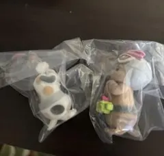 仮面にゃいだー