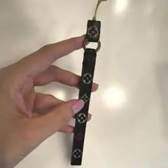 →ヴィトン　ストラップのサムネイル