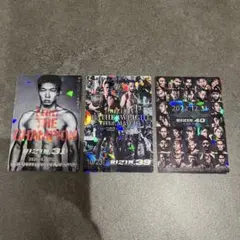 RIZIN ポテトスティック