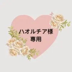 ハオルチア様 リクエスト 3点 まとめ商品