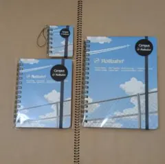 Item thumbnail for item 4ad1896e-2f09-4668-882d-491f3c2cd896