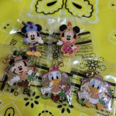 ディズニーシー　20周年　ピンバッジ　アブーズバザール