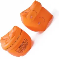 Item thumbnail for item eb289671-90ad-424d-8456-cf23e5751663