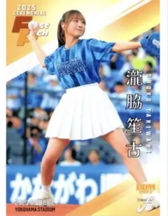 Item thumbnail for item 98d0b288-4800-493e-84b6-8da7b791b07f