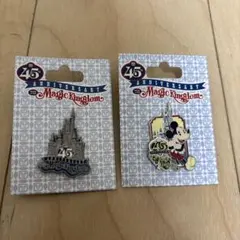 45周年記念マジックキングダムピン2個