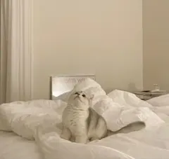 _ for only page（m_____さん）