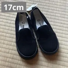 Item thumbnail for item 6d8e89cb-082a-48b7-816a-23c1994f1c17