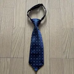 Item thumbnail for item 917e49d1-407b-4df6-8042-c52b36dd47c9