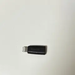 ELECOM Type-C to Lightning 変換アダプタ