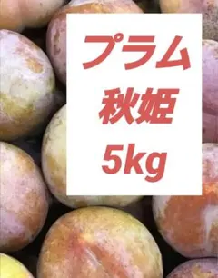 すもも 5キロ鹿児島産 無農薬 プラム 最終SALE！ - メルカリ
