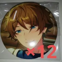 あんスタ コレクション缶バッジ 高峯翠