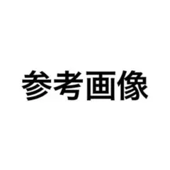 参考画像