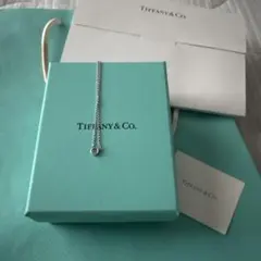 Tiffany & Co. カラー バイ ザ ヤード アクアマリン ペンダント