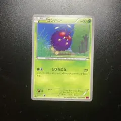 ポケモンカード コンパン C