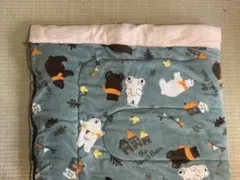 어린이 및 성인용 침낭, 170 x 70cm (북극곰 수납 가방 포함)