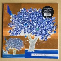 2026年最新】dragon ash レコードの人気アイテム - メルカリ