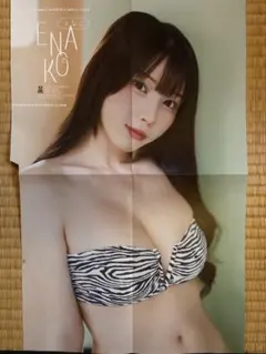 えなこ 水着ポスター2枚