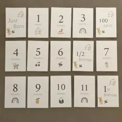 Item thumbnail for item 141c021f-588c-4acf-ad1f-1591c7835b87