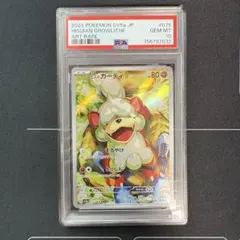 2026年最新】ヒスイガーディ AR psa10の人気アイテム - メルカリ