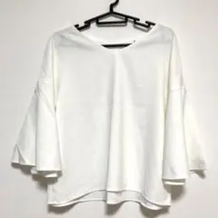 Item thumbnail for item 5e8f70bf-c5a8-403f-9067-27191eb51ce7