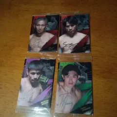 RIZINウエハース25 No.31 23 11 19