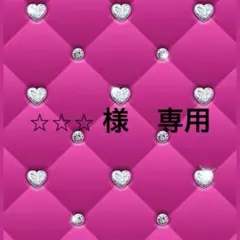 ⭐︎⭐︎⭐︎様　専用