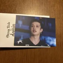 Straykids dominATE 映画 特典 バンチャン