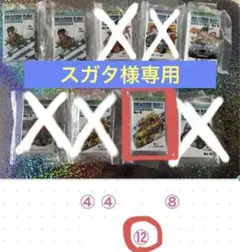 スガタ様専用 ドラゴンボールコミックスチャーム