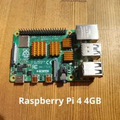 Raspberry Pi 4 model b 4GB