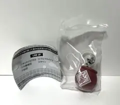 ドラゴンボール　めじるしチャーム　仙豆