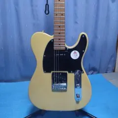 Bacchus BTE-2-RSM/M BBD テレキャスター