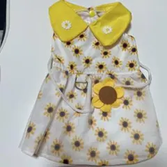 Item thumbnail for item 15416ebc-28d1-40a1-bbf6-82c9dba6a4a9