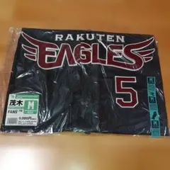 Item thumbnail for item 707edf5e-5157-4bd6-a4da-542f0e0120d7