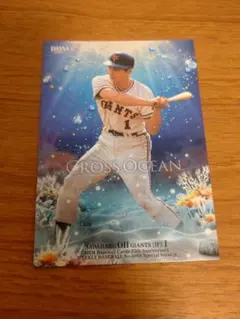 Item thumbnail for item c344709c-d989-45b6-86bf-372d71c88d48